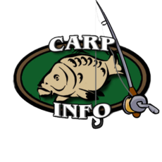 carp info