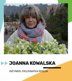 joanna kowalska